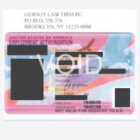 Gursoy Immigration Lawyer ico