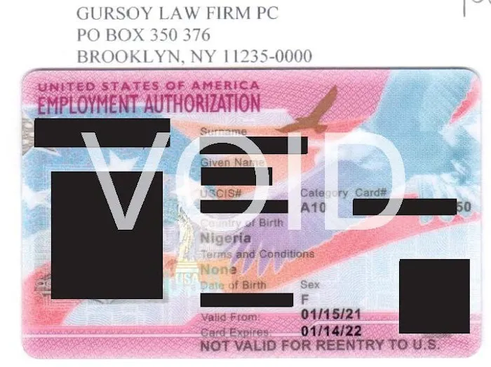Gursoy Immigration Lawyer Picture 4