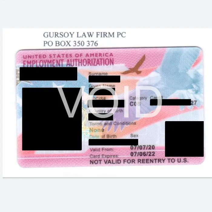 Gursoy Immigration Lawyer Picture 5