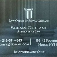 Law Office of Seema Guliani, PLLC ico