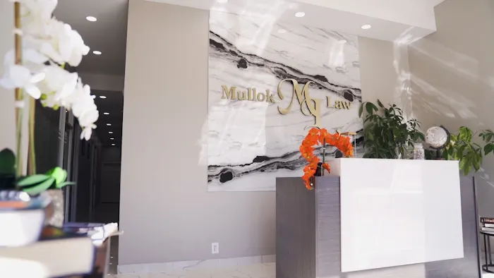 Mullokandova Law Picture 6