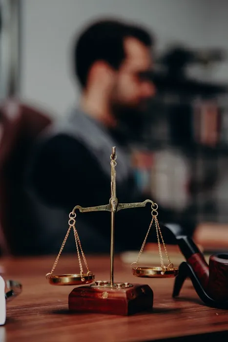 Law Offices Of Roman Aminov Picture 2
