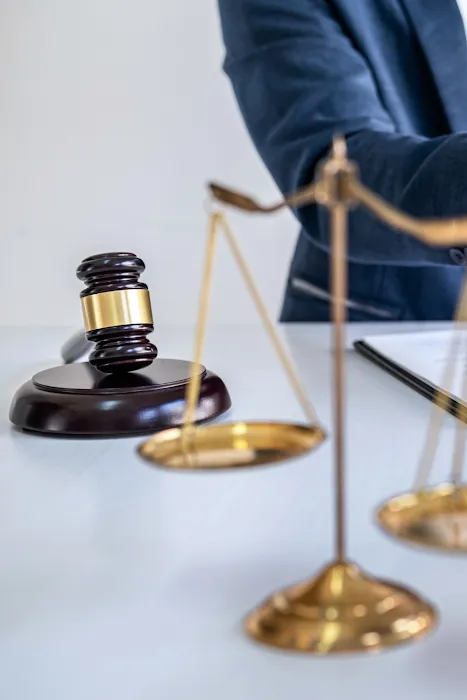 Zgheib Sayad, P.C. - Vaccine Injury Lawyers Picture 9