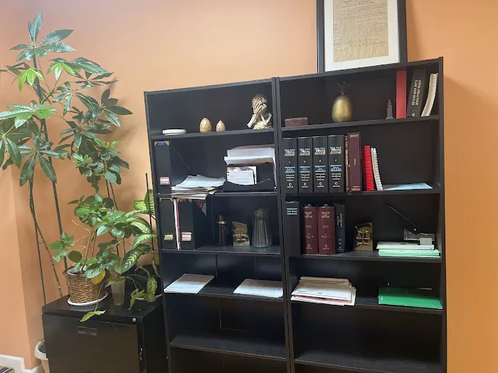 Law Firm of Elena Alexeeva Picture 2
