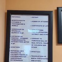 Law Firm of Elena Alexeeva ico