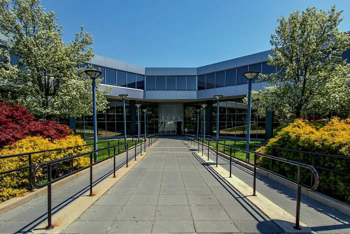 Law Office Of Cohen & Jaffe LLP Picture 7