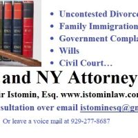 Law Office of Vladimir Istomin, Esq. ico