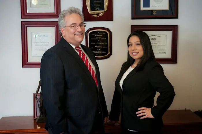 Terezakis Law Firm, PLLC Picture 5