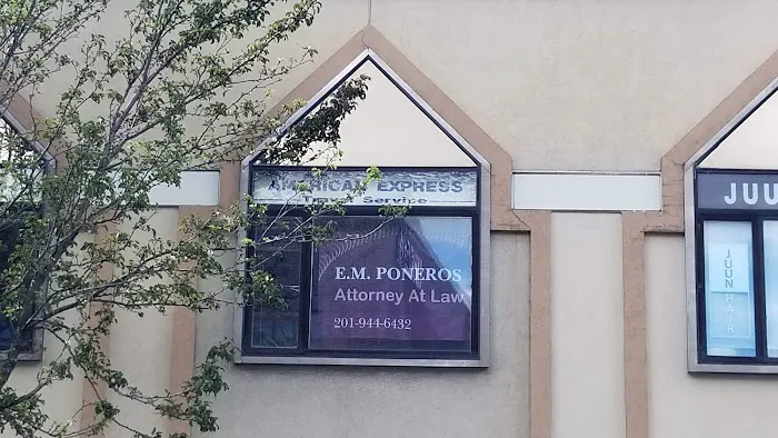 Poneros Eva Picture 1