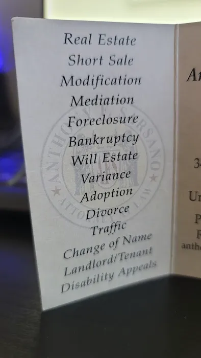 Anthony F. Sarsano Esq Picture 4
