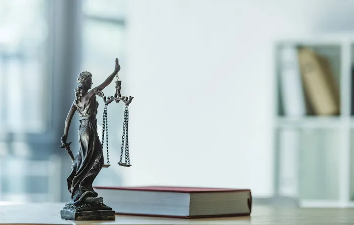 The Morano Law Firm, LLC Picture 1