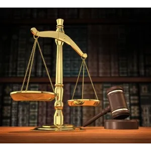 Maizes & Maizes LLP: Maizes Michael & Howard Picture 3