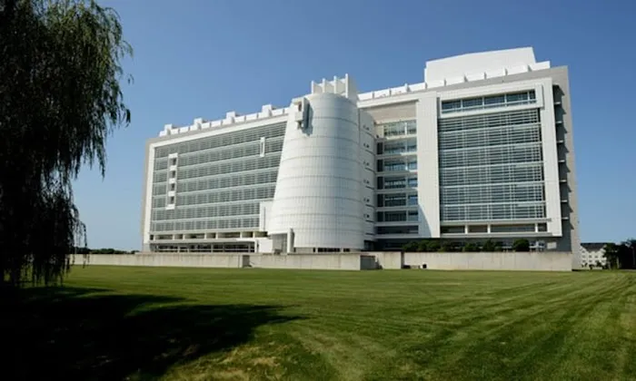 The Law Offices of Scott Gross, P.C. Picture 1