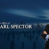 Law Office of Carl Spector ico