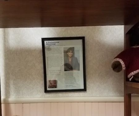 Law Office Of Angela C Femino LLC
