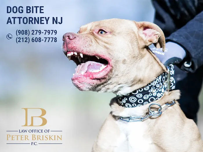 Peter Briskin P.c D/B/A Accident Lawyer NJ Peter Briskin Picture 1