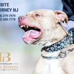 Peter Briskin P.c D/B/A Accident Lawyer NJ Peter Briskin