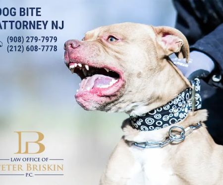 Peter Briskin P.c D/B/A Accident Lawyer NJ Peter Briskin