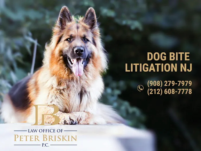 Peter Briskin P.c D/B/A Accident Lawyer NJ Peter Briskin Picture 6