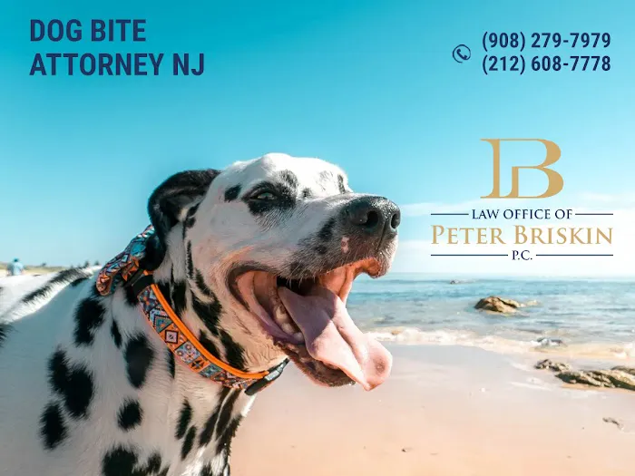 Peter Briskin P.c D/B/A Accident Lawyer NJ Peter Briskin Picture 9