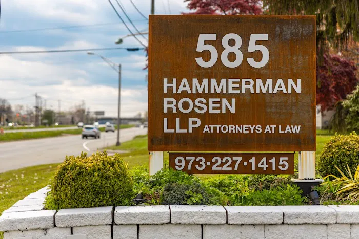 Hammerman Rosen LLP Picture 2