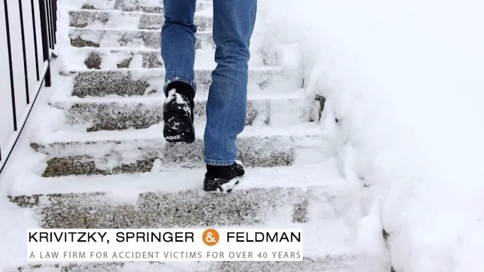 Krivitzky, Springer & Feldman Picture 7