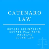 Catenaro Law ico