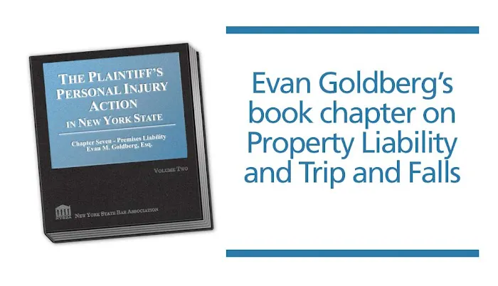 Evan Goldberg Law Picture 9