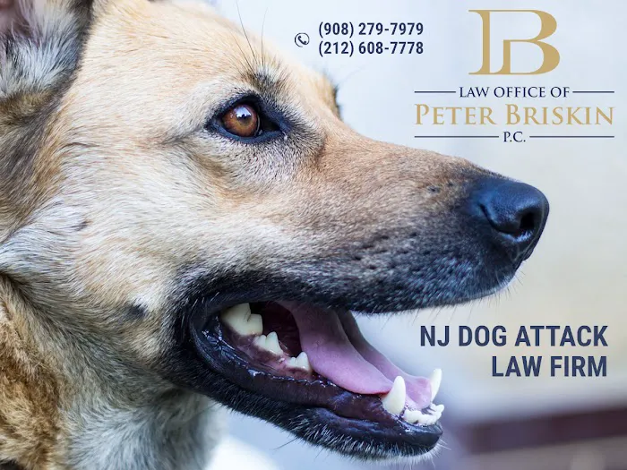 Personal Injury Lawyer Peter Briskin Picture 2