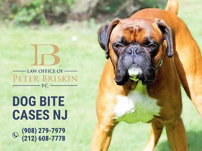 Personal Injury Lawyer Peter Briskin Picture 8