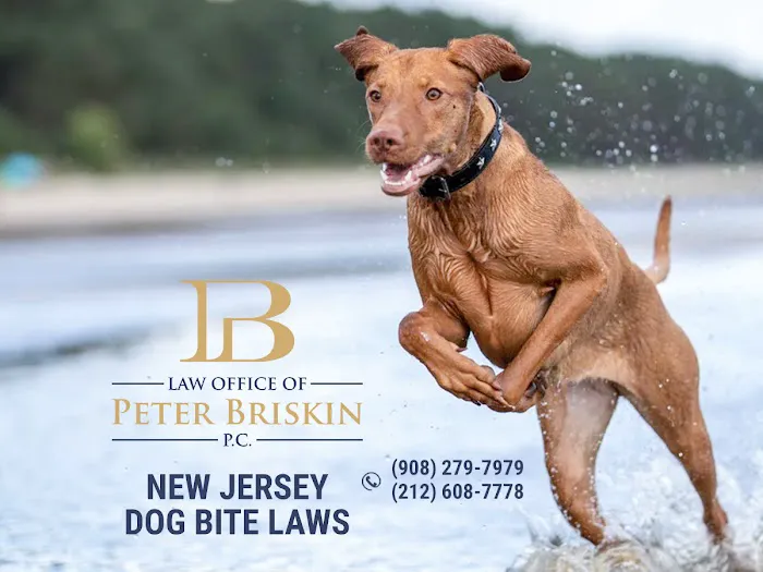 Personal Injury Lawyer Peter Briskin Picture 10