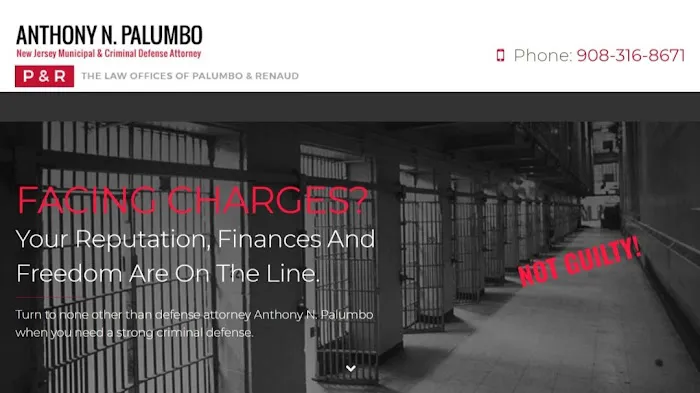 The Law Offices of Anthony N. Palumbo Picture 1