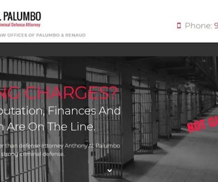 The Law Offices of Anthony N. Palumbo