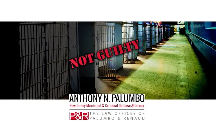 The Law Offices of Anthony N. Palumbo Picture 2