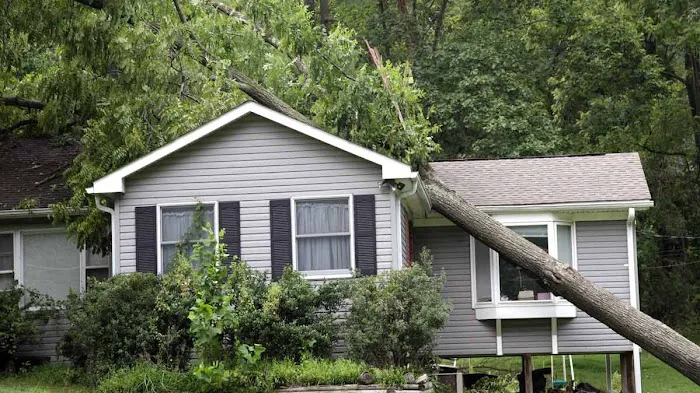 Robert Bura Public Adjuster Picture 1