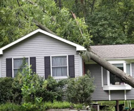 Robert Bura Public Adjuster