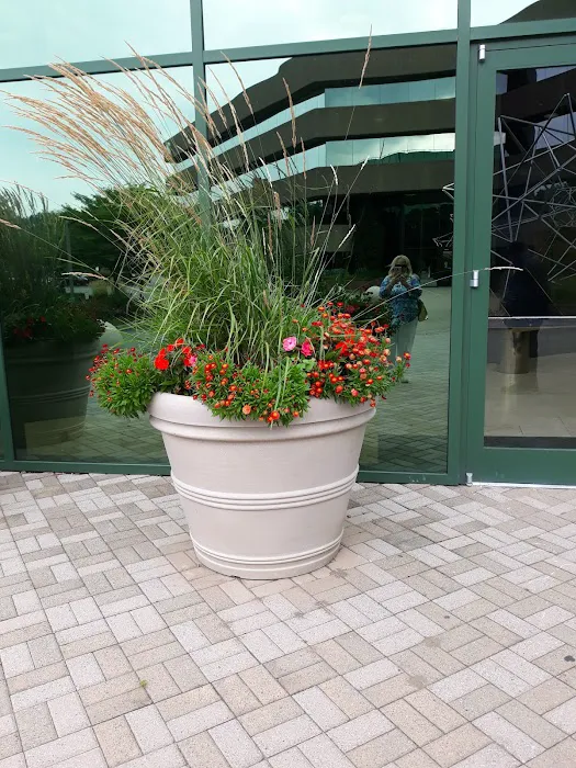 Steven M Greco & Associates Picture 1