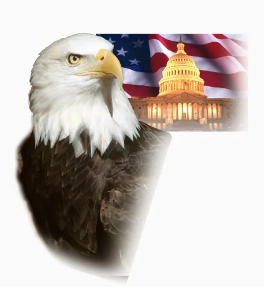 American Legal Copying & Document Services Picture 3