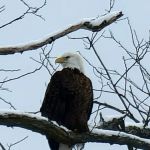 Susan G. Parker Law Associates, PC