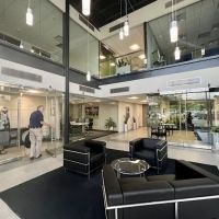 Lutz Injury Law ico