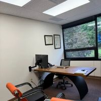 The Steiner Law Firm, PLLC ico