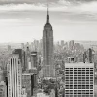 Carl J. Nelson Law, P.C. ico