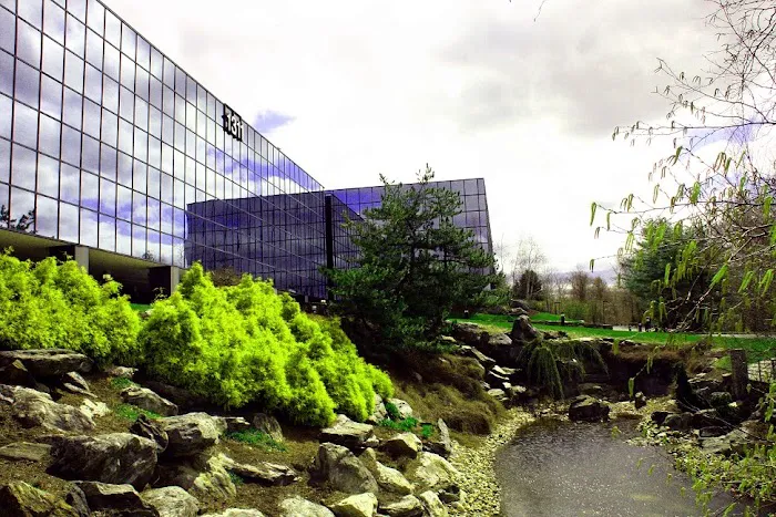 Finkelstein & Partners, LLP Picture 8
