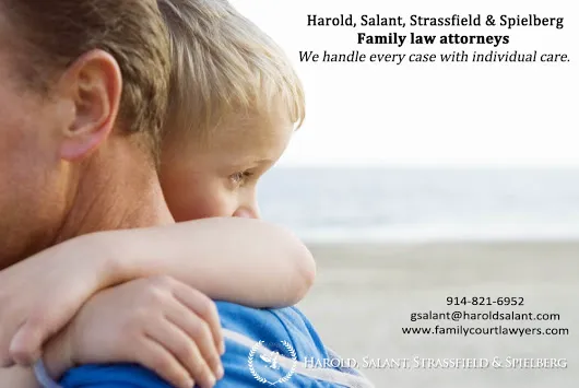 Harold, Salant, Strassfield & Spielberg Picture 5