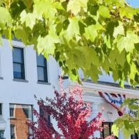 Philip Hersh Law Offices: Hersh Philip ico
