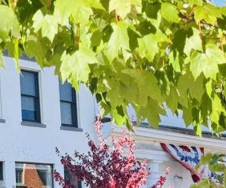 Philip Hersh Law Offices: Hersh Philip