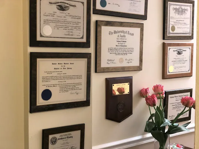 The Law Offices of Anthony N. Palumbo Picture 1