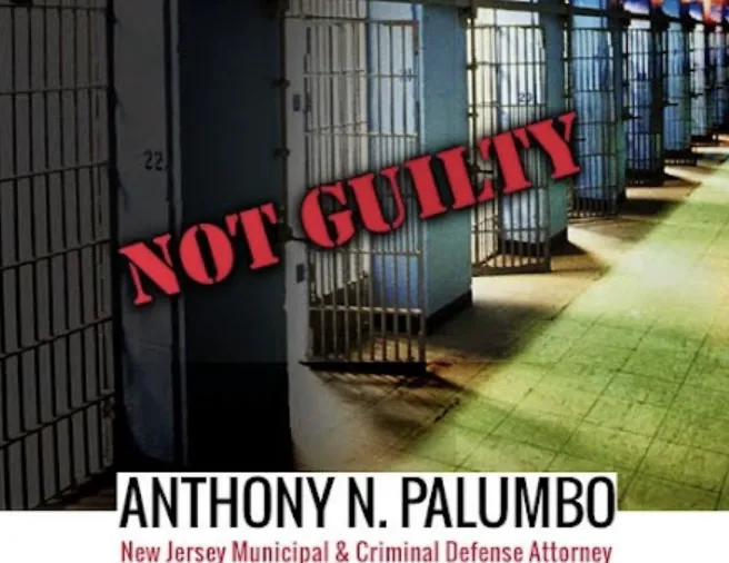 The Law Offices of Anthony N. Palumbo Picture 3
