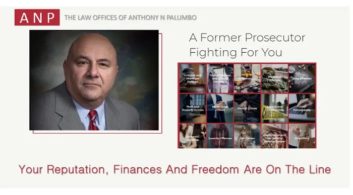 The Law Offices of Anthony N. Palumbo Picture 6