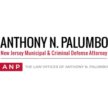 The Law Offices of Anthony N. Palumbo Picture 5